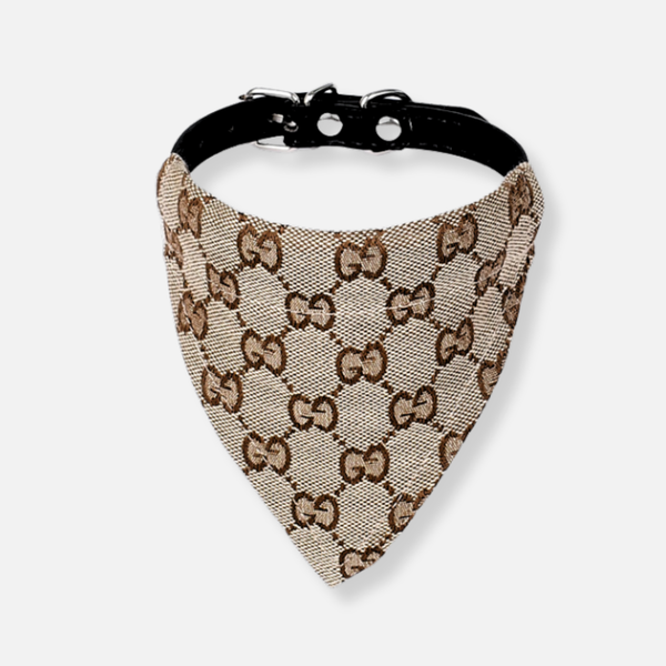 Pucci Élan Collar