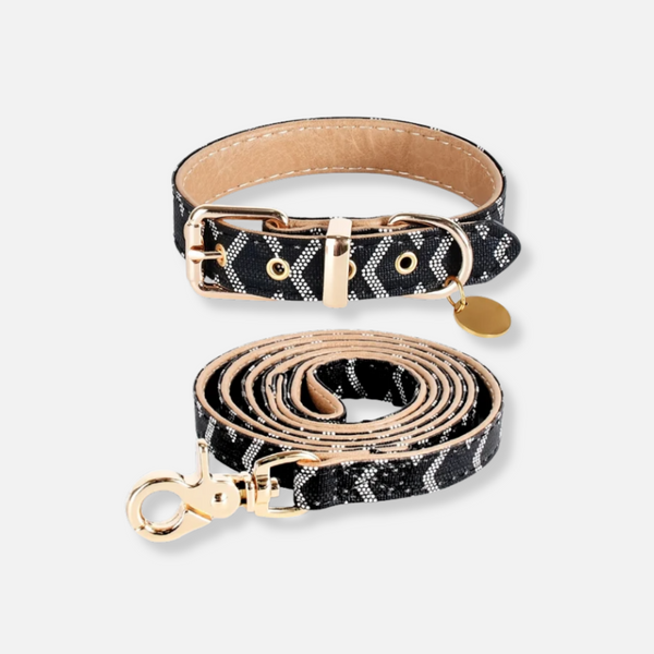 Belmont Luxe Collar & Leash Set