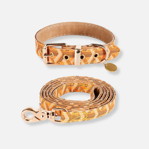 Belmont Luxe Collar & Leash Set