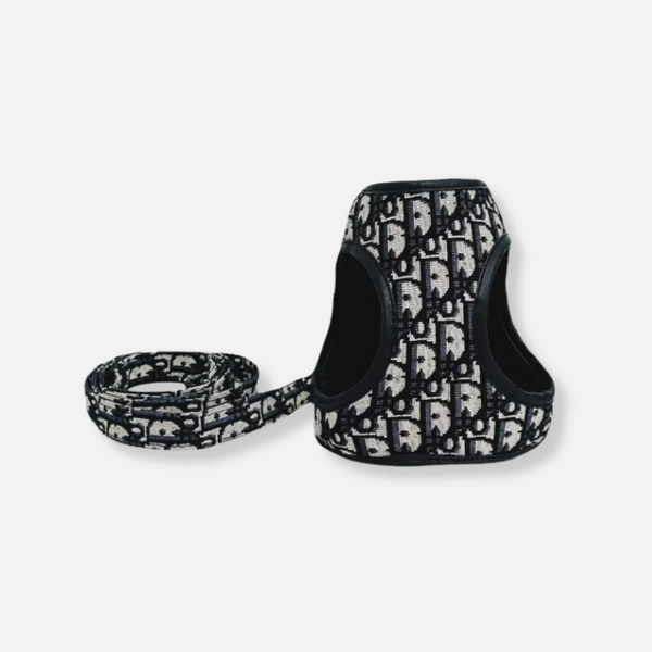 Noir Elegance Harness & Leash Set