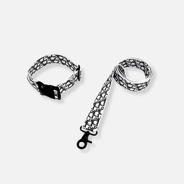 Dogior Oblique Collar & Leash Set