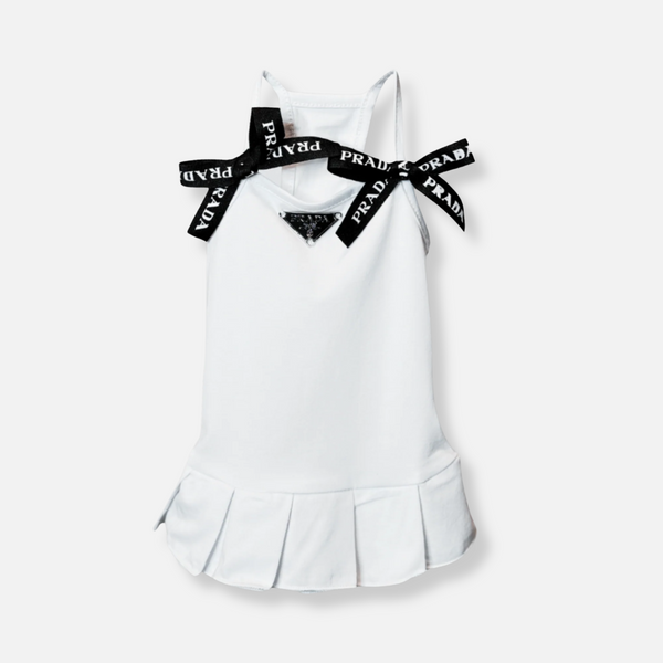 The Pleated Muse Dress