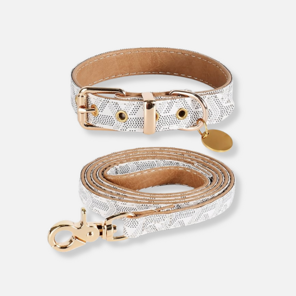 Belmont Luxe Collar & Leash Set