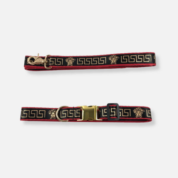 Regal Odyssey Collar & Leash Set
